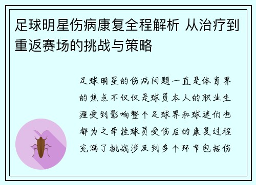 足球明星伤病康复全程解析 从治疗到重返赛场的挑战与策略