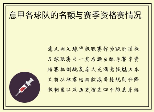 意甲各球队的名额与赛季资格赛情况