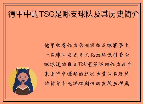 德甲中的TSG是哪支球队及其历史简介